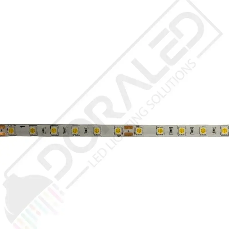 24V Şerit Led Gün Işığı 5050 IP65 24 Volt Şerit Led (5 Metre)